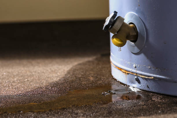 Best Water damage restoration near me  in Cascade Chipita Park, CO
