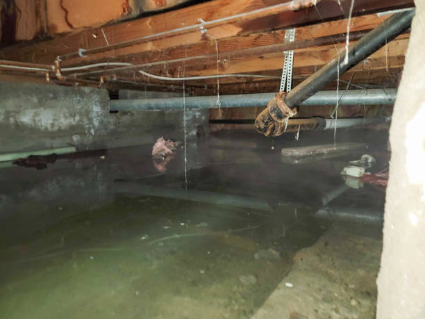 Best Water damage contractors near me  in Cascade Chipita Park, CO