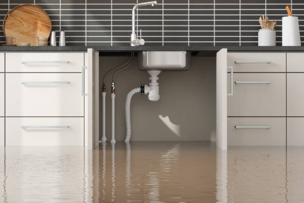 Best Local water damage restoration  in Cascade Chipita Park, CO