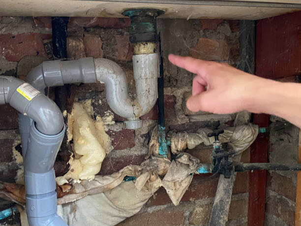 Water damage restoration mold remediation in Cascade Chipita Park, CO