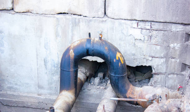 Best Professional water damage repair  in Cascade Chipita Park, CO